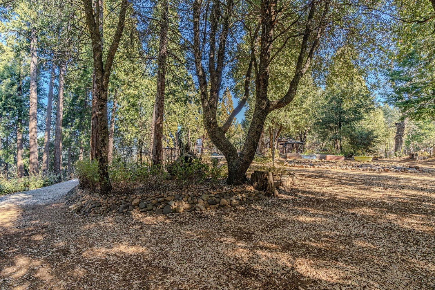 Detail Gallery Image 24 of 93 For 24985 Shake Ridge Rd, Volcano,  CA 95689 - 3 Beds | 3 Baths