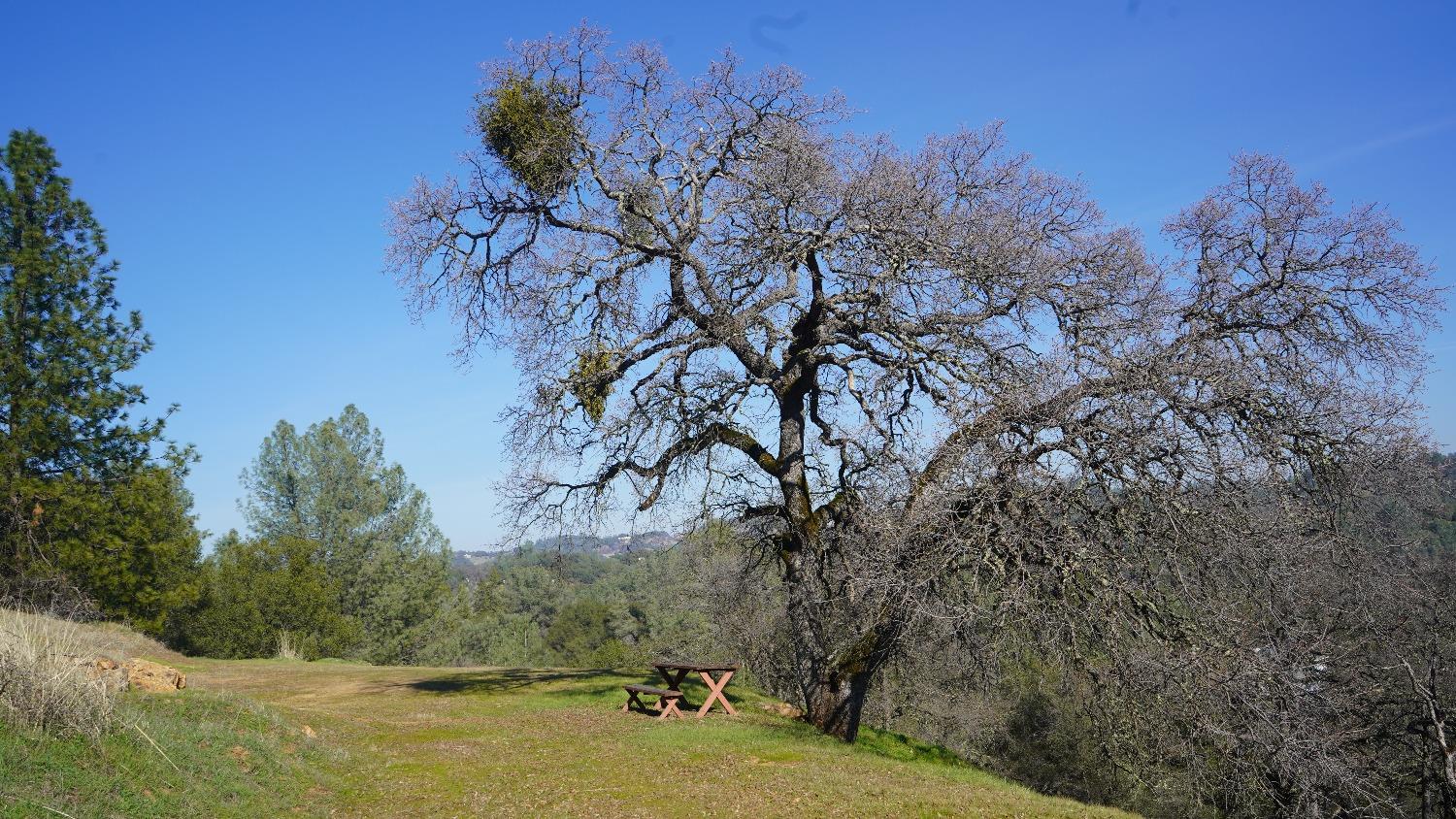 Tomahawk Road, Cool, California image 11