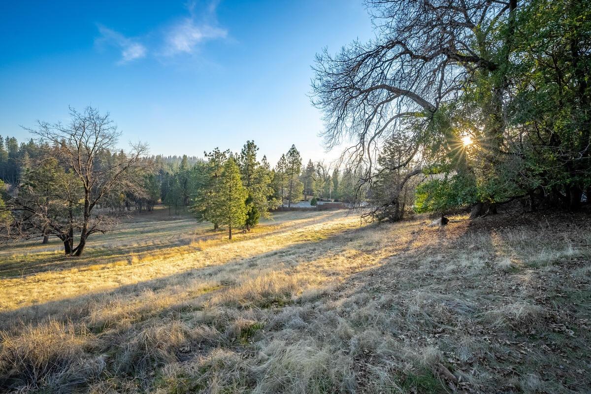 Todd Valley Road, Foresthill, California image 15