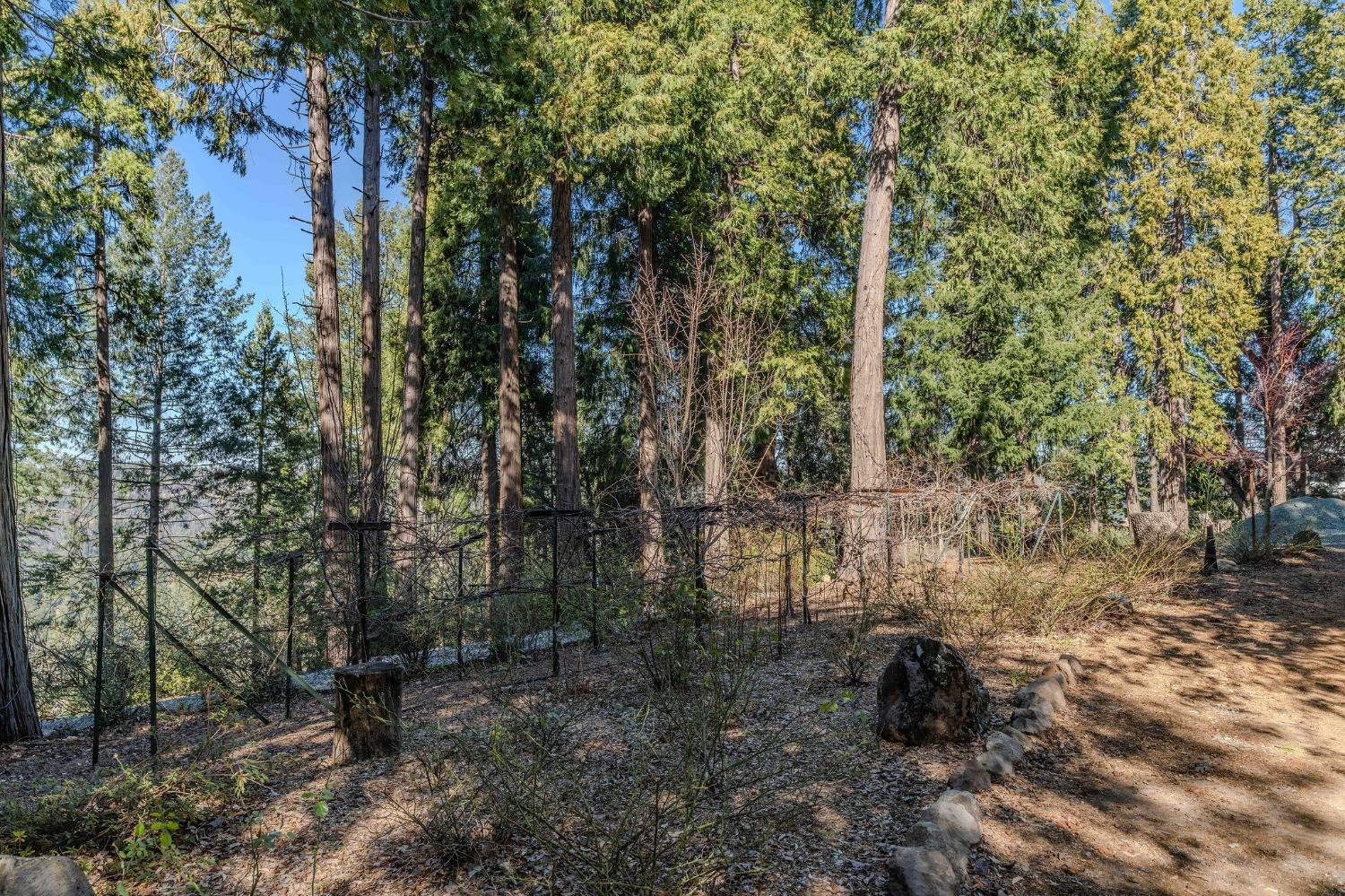 Detail Gallery Image 82 of 93 For 24985 Shake Ridge Rd, Volcano,  CA 95689 - 3 Beds | 3 Baths