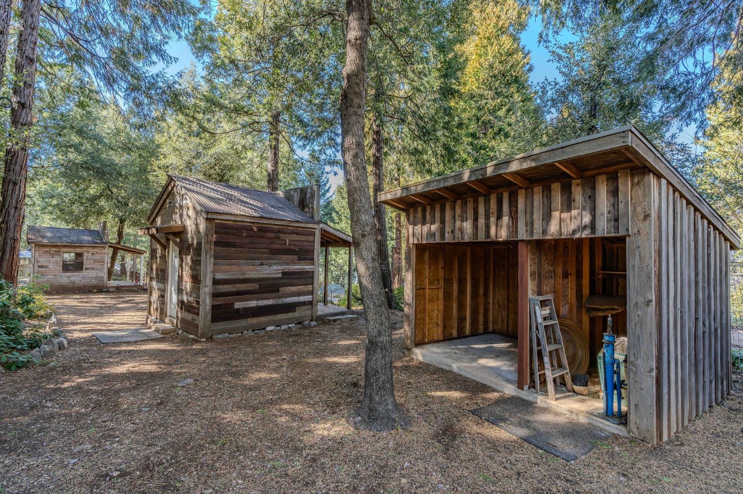 Detail Gallery Image 15 of 93 For 24985 Shake Ridge Rd, Volcano,  CA 95689 - 3 Beds | 3 Baths
