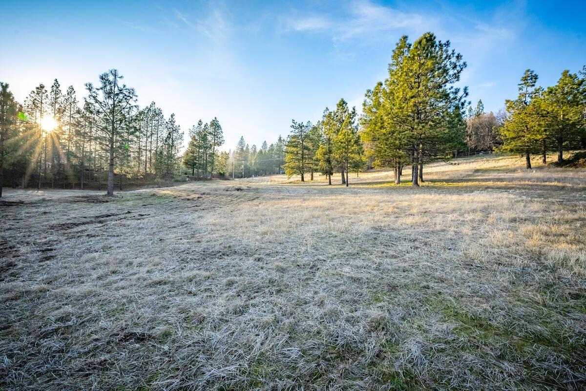 Todd Valley Road, Foresthill, California image 8