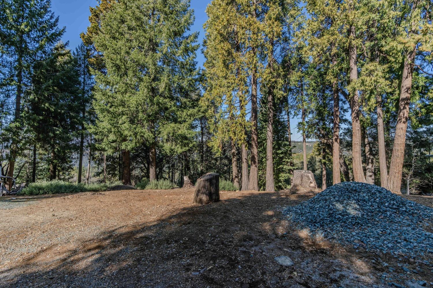 Detail Gallery Image 17 of 93 For 24985 Shake Ridge Rd, Volcano,  CA 95689 - 3 Beds | 3 Baths
