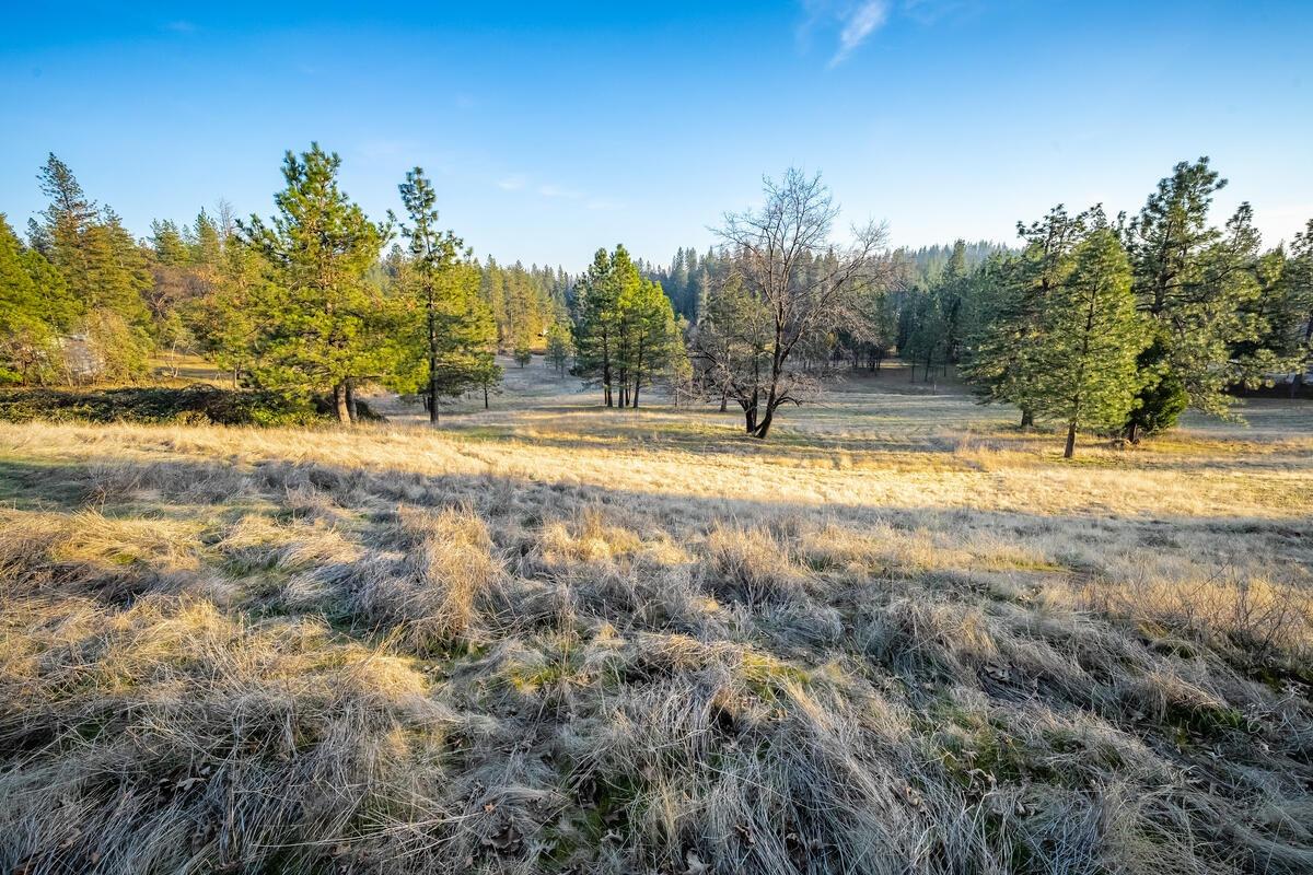 Todd Valley Road, Foresthill, California image 17