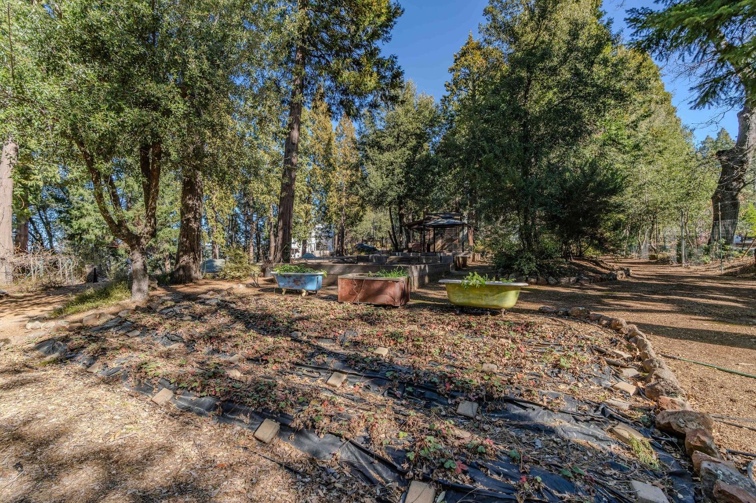 Detail Gallery Image 21 of 93 For 24985 Shake Ridge Rd, Volcano,  CA 95689 - 3 Beds | 3 Baths