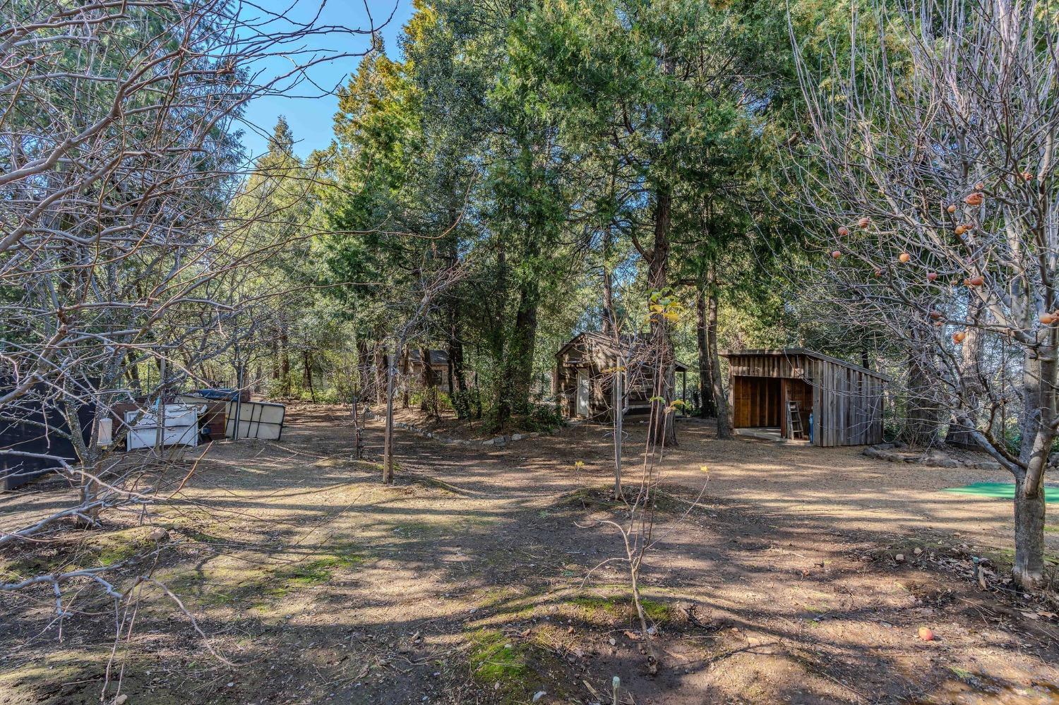 Detail Gallery Image 3 of 93 For 24985 Shake Ridge Rd, Volcano,  CA 95689 - 3 Beds | 3 Baths