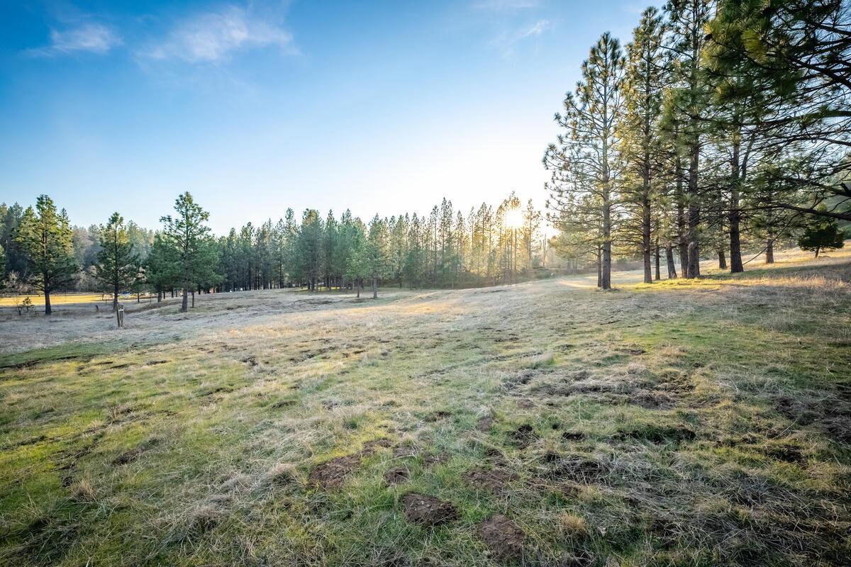 Todd Valley Road, Foresthill, California image 9