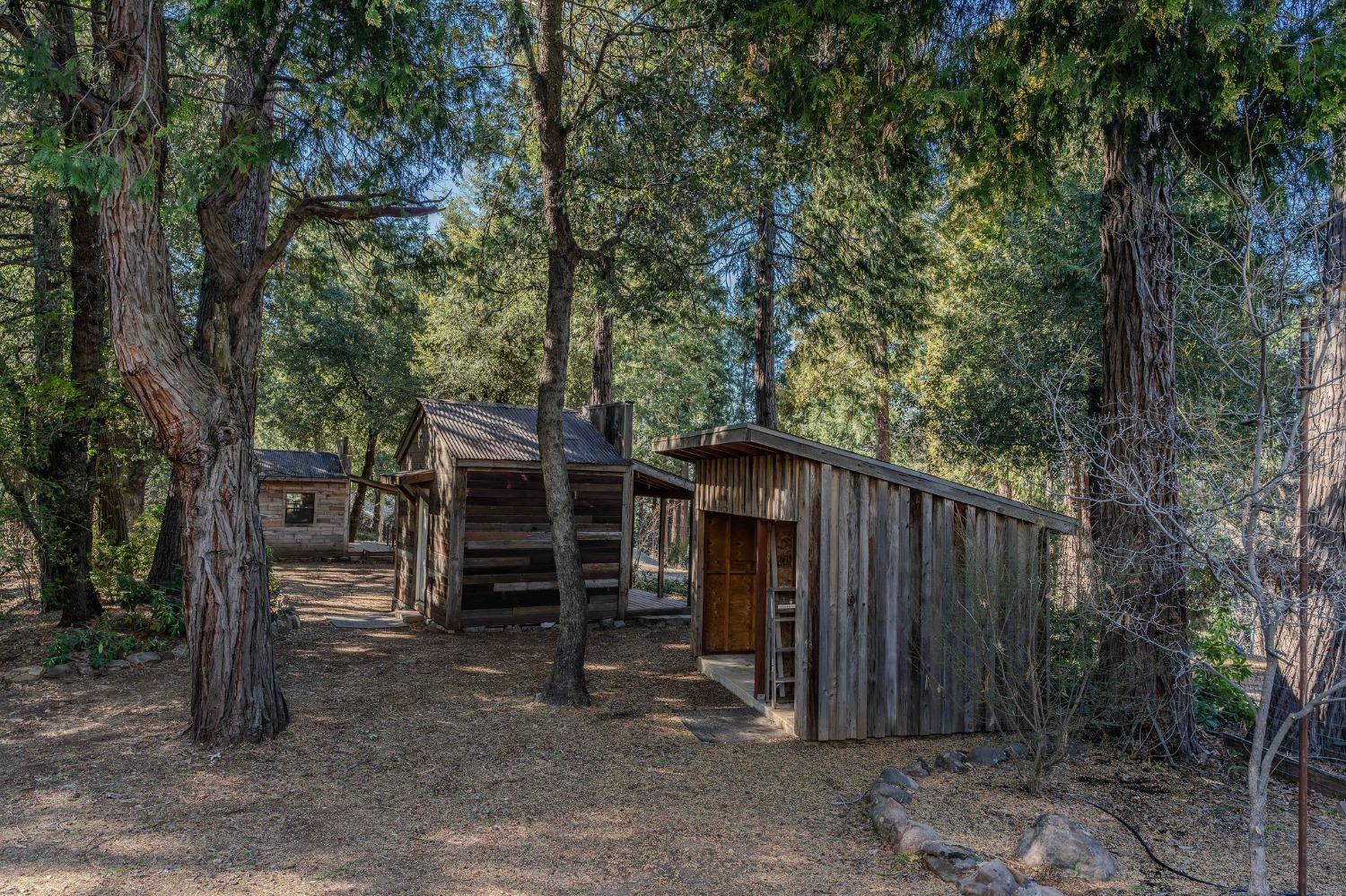 Detail Gallery Image 8 of 93 For 24985 Shake Ridge Rd, Volcano,  CA 95689 - 3 Beds | 3 Baths