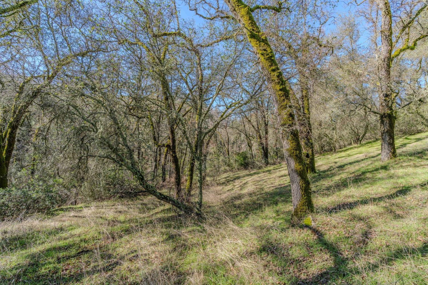 Quartz Mountain Road, Fiddletown, California image 3