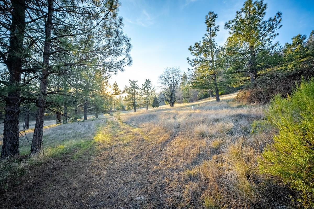 Todd Valley Road, Foresthill, California image 12