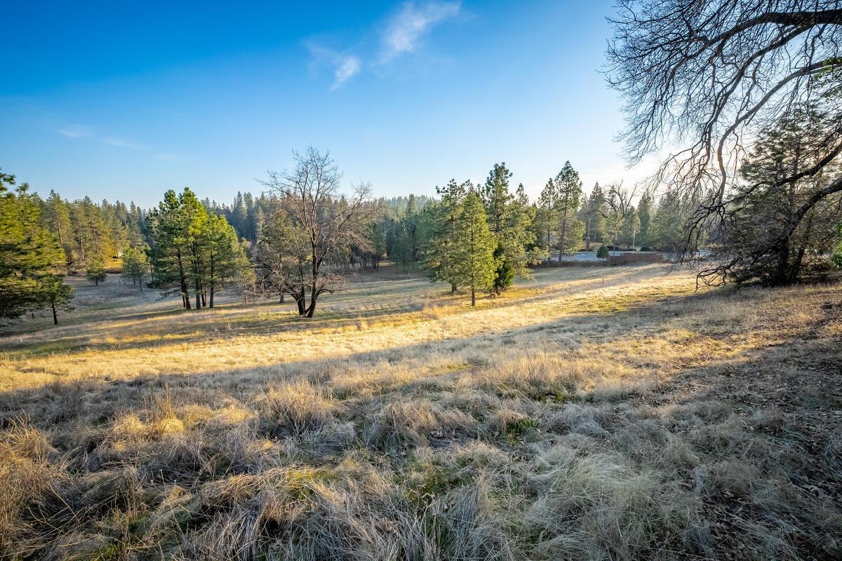 Todd Valley Road, Foresthill, California image 16