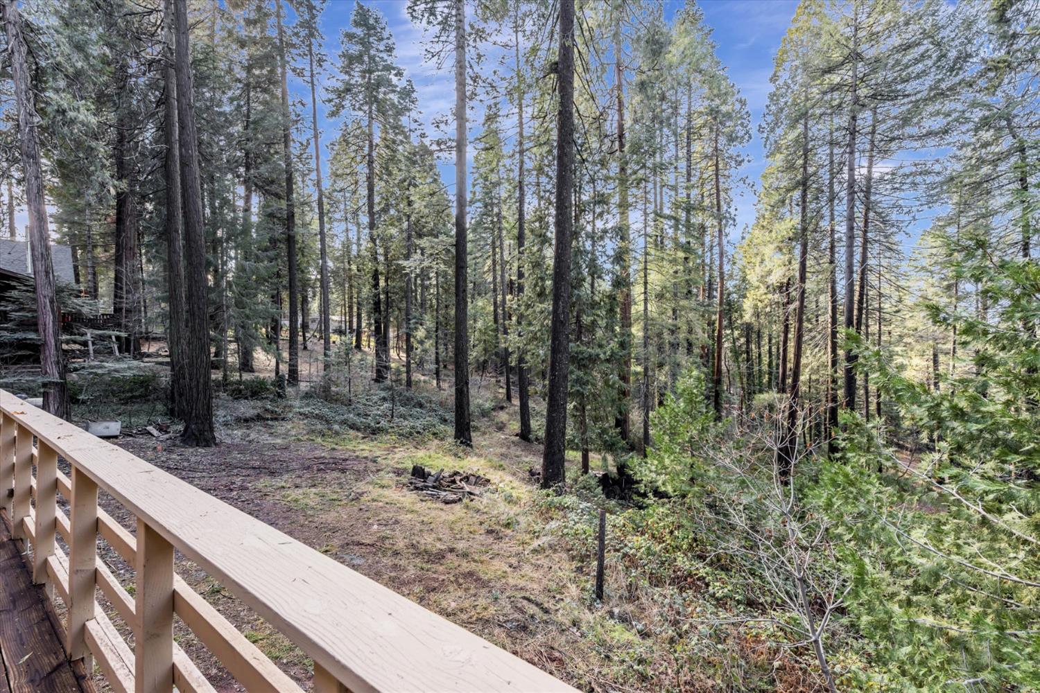 Shady Lane, Pollock Pines, California image 29