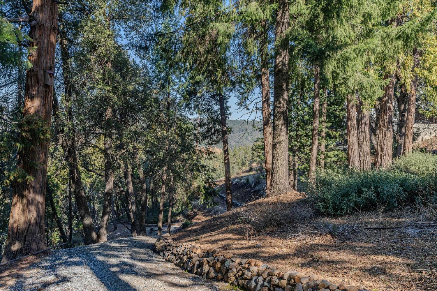 Detail Gallery Image 75 of 93 For 24985 Shake Ridge Rd, Volcano,  CA 95689 - 3 Beds | 3 Baths