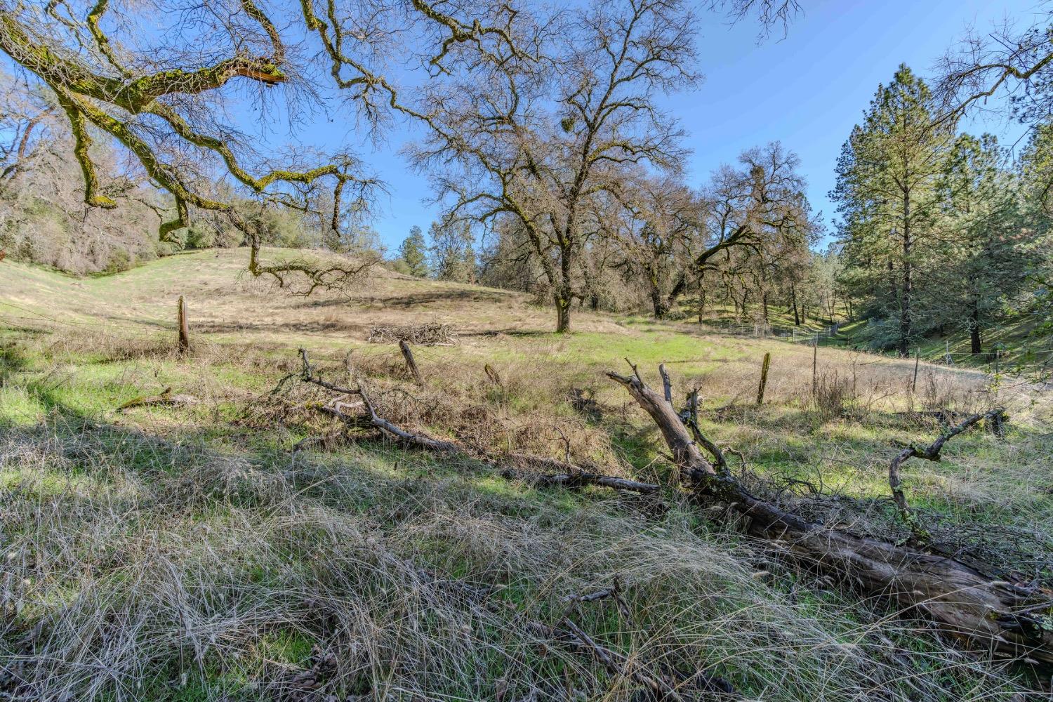 Quartz Mountain Road, Fiddletown, California image 11