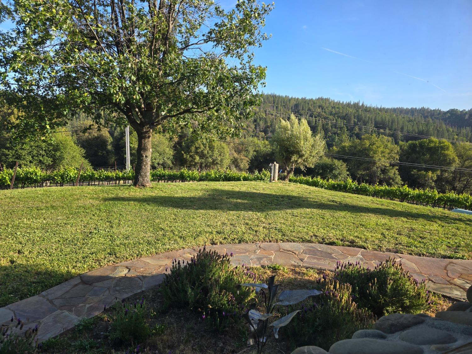 Detail Gallery Image 37 of 88 For 7201 Happy Valley Rd, Somerset,  CA 95684 - 4 Beds | 3/1 Baths