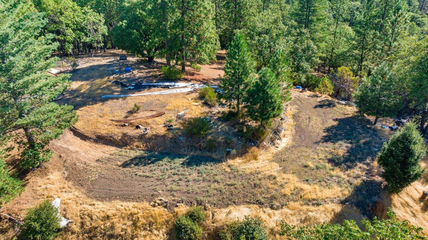 Old Donner Trail, Grass Valley, California image 4