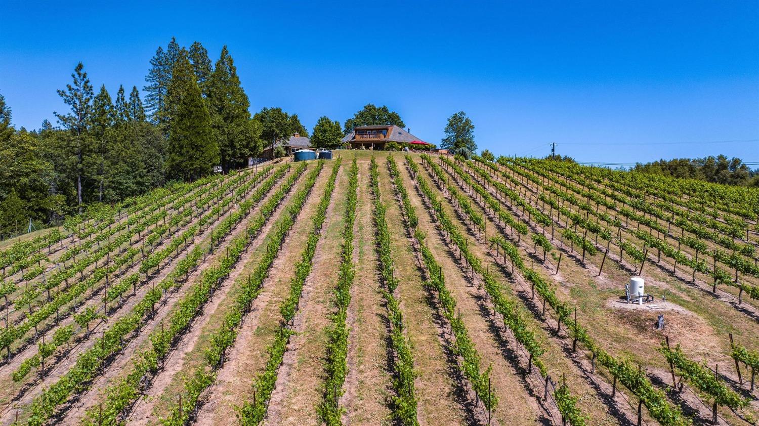 Detail Gallery Image 6 of 88 For 7201 Happy Valley Rd, Somerset,  CA 95684 - 4 Beds | 3/1 Baths