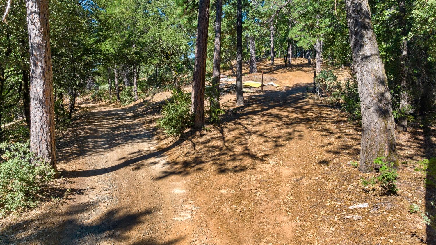 Old Donner Trail, Grass Valley, California image 19