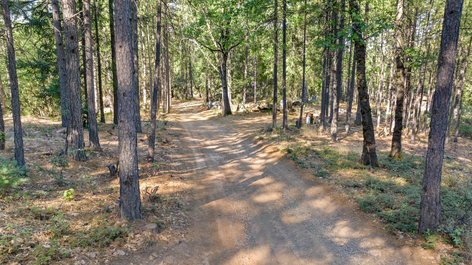 Old Donner Trail, Grass Valley, California image 3