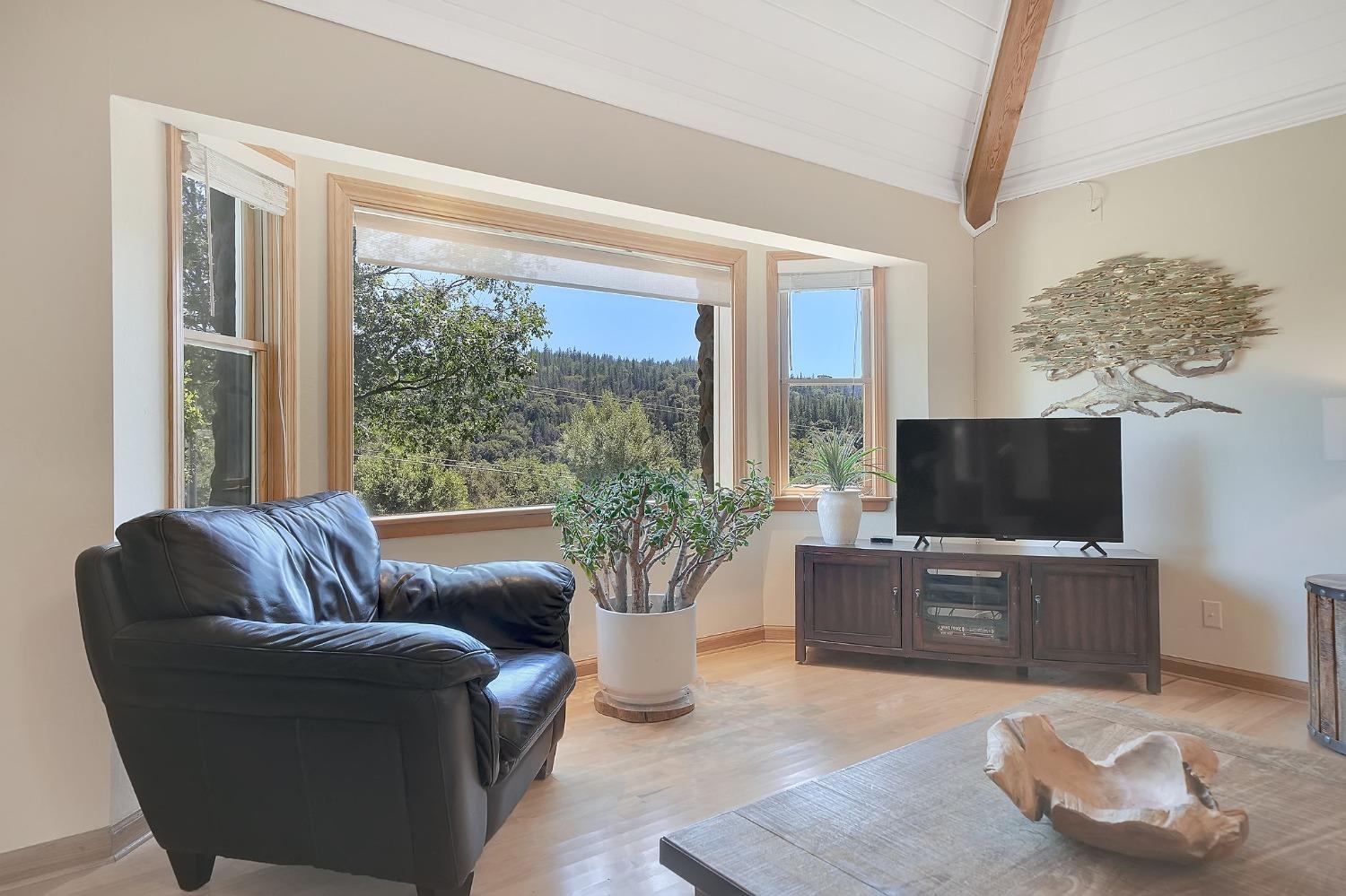 Detail Gallery Image 57 of 88 For 7201 Happy Valley Rd, Somerset,  CA 95684 - 4 Beds | 3/1 Baths