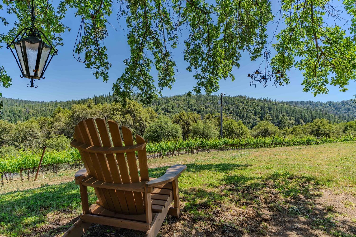 Detail Gallery Image 35 of 88 For 7201 Happy Valley Rd, Somerset,  CA 95684 - 4 Beds | 3/1 Baths