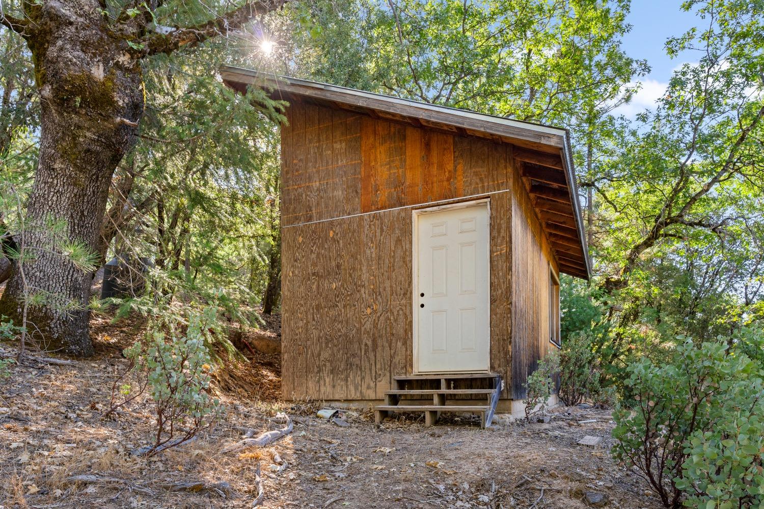 Old Donner Trail, Grass Valley, California image 10