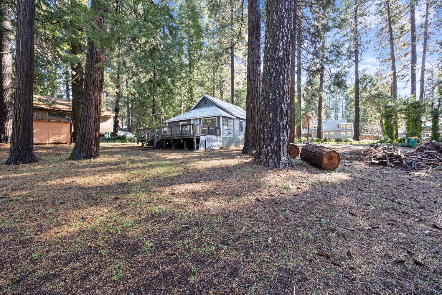 Pony Express Trail, Pollock Pines, California image 3