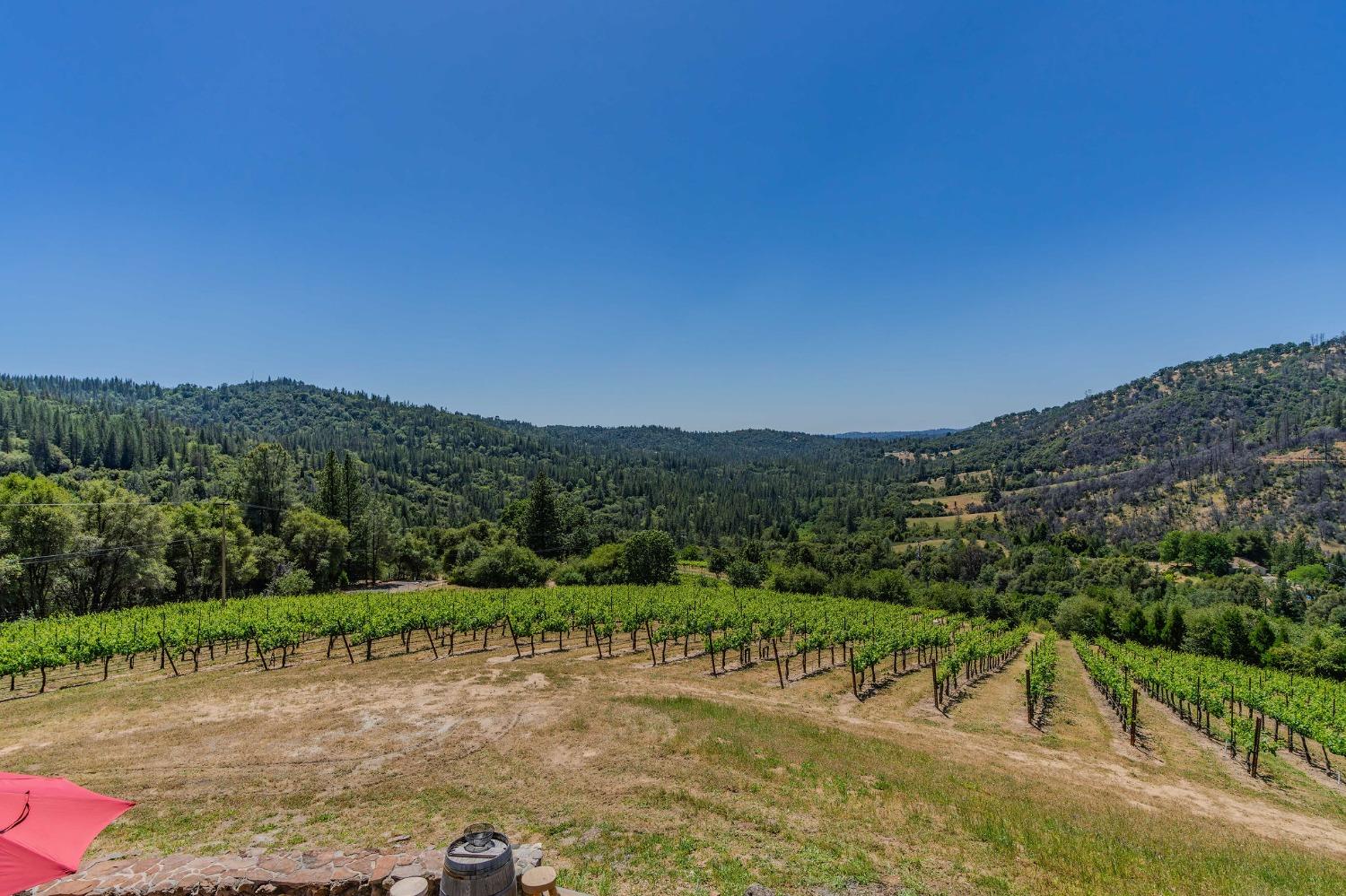Detail Gallery Image 14 of 88 For 7201 Happy Valley Rd, Somerset,  CA 95684 - 4 Beds | 3/1 Baths