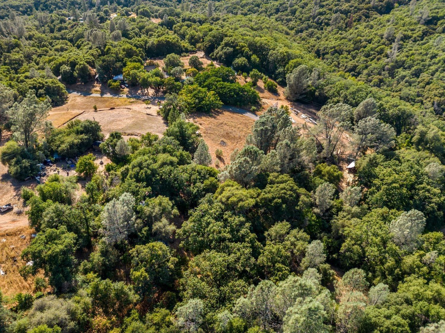 Vierra Road, Rackerby, California image 18