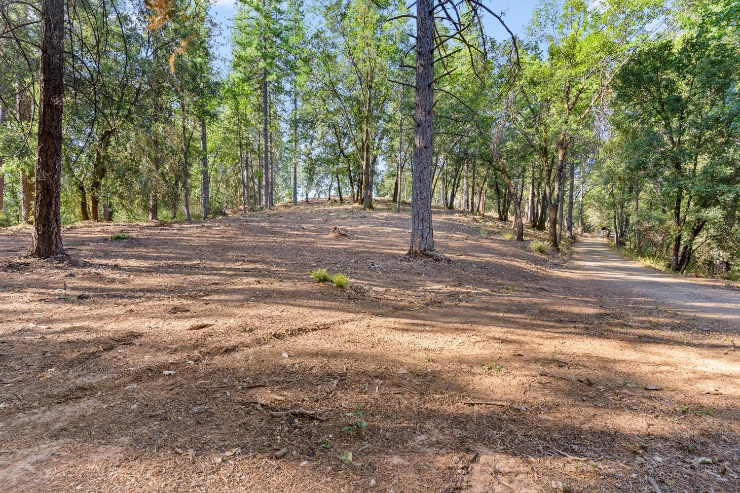 Old Donner Trail, Grass Valley, California image 25