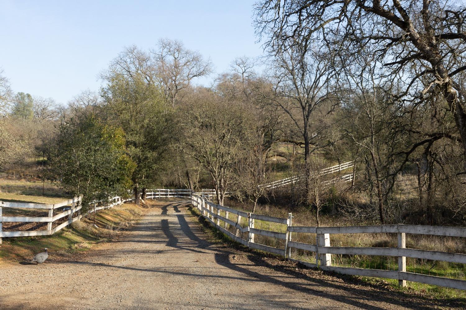 Prairie Creek Lane, Marysville, California image 29