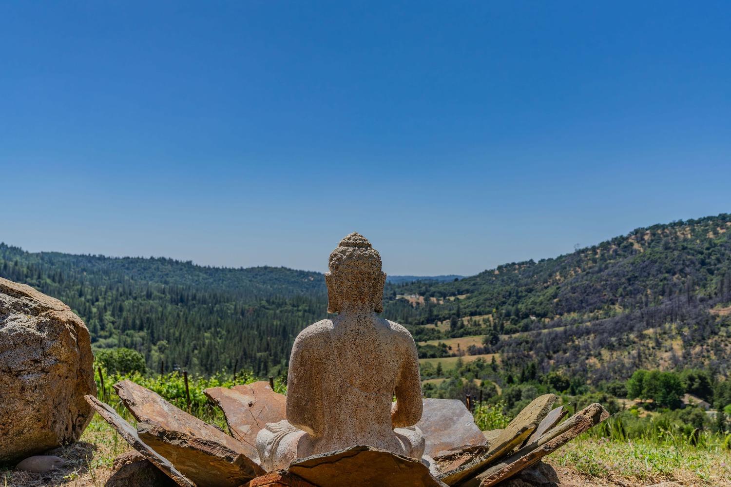 Detail Gallery Image 21 of 88 For 7201 Happy Valley Rd, Somerset,  CA 95684 - 4 Beds | 3/1 Baths