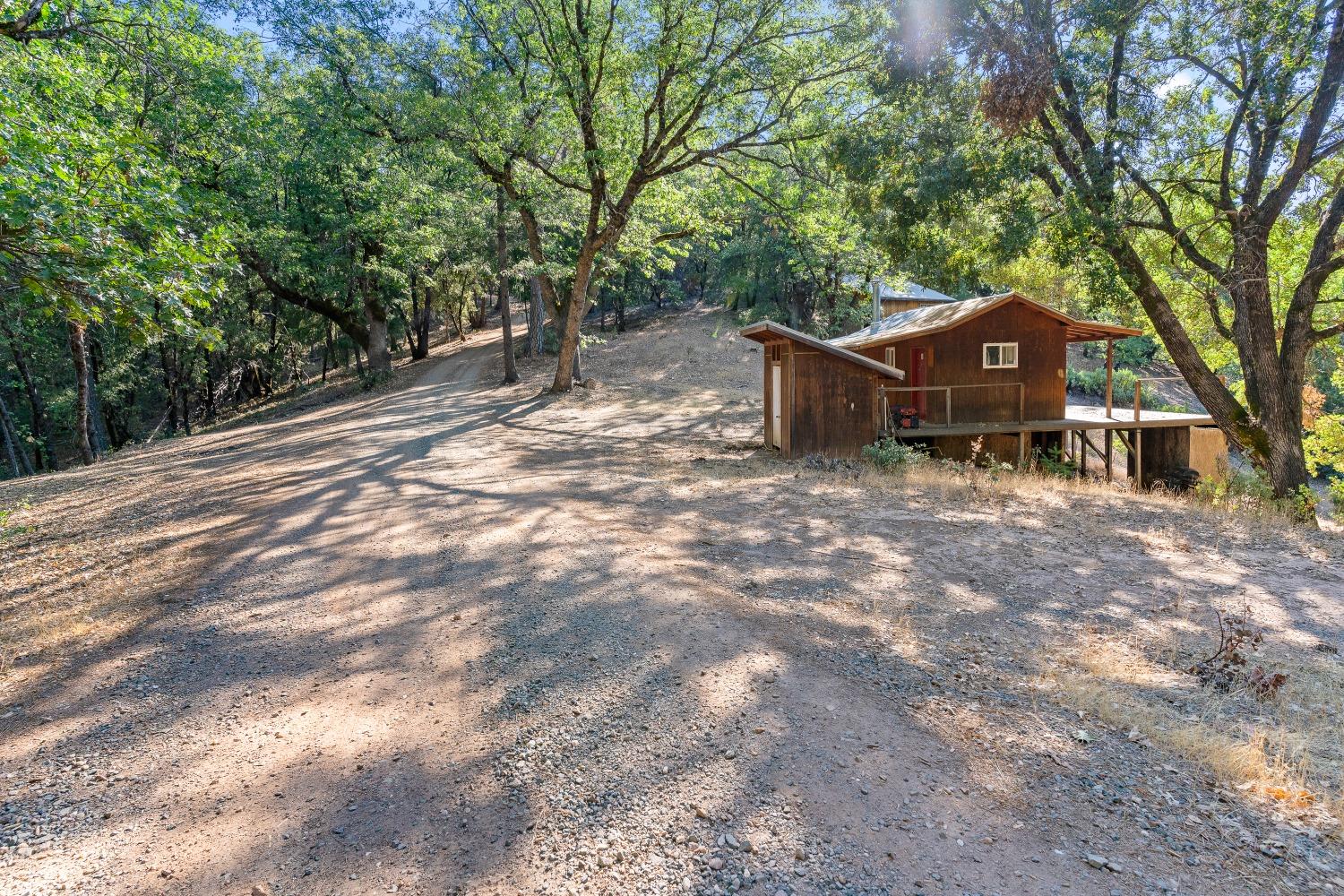 Old Donner Trail, Grass Valley, California image 1