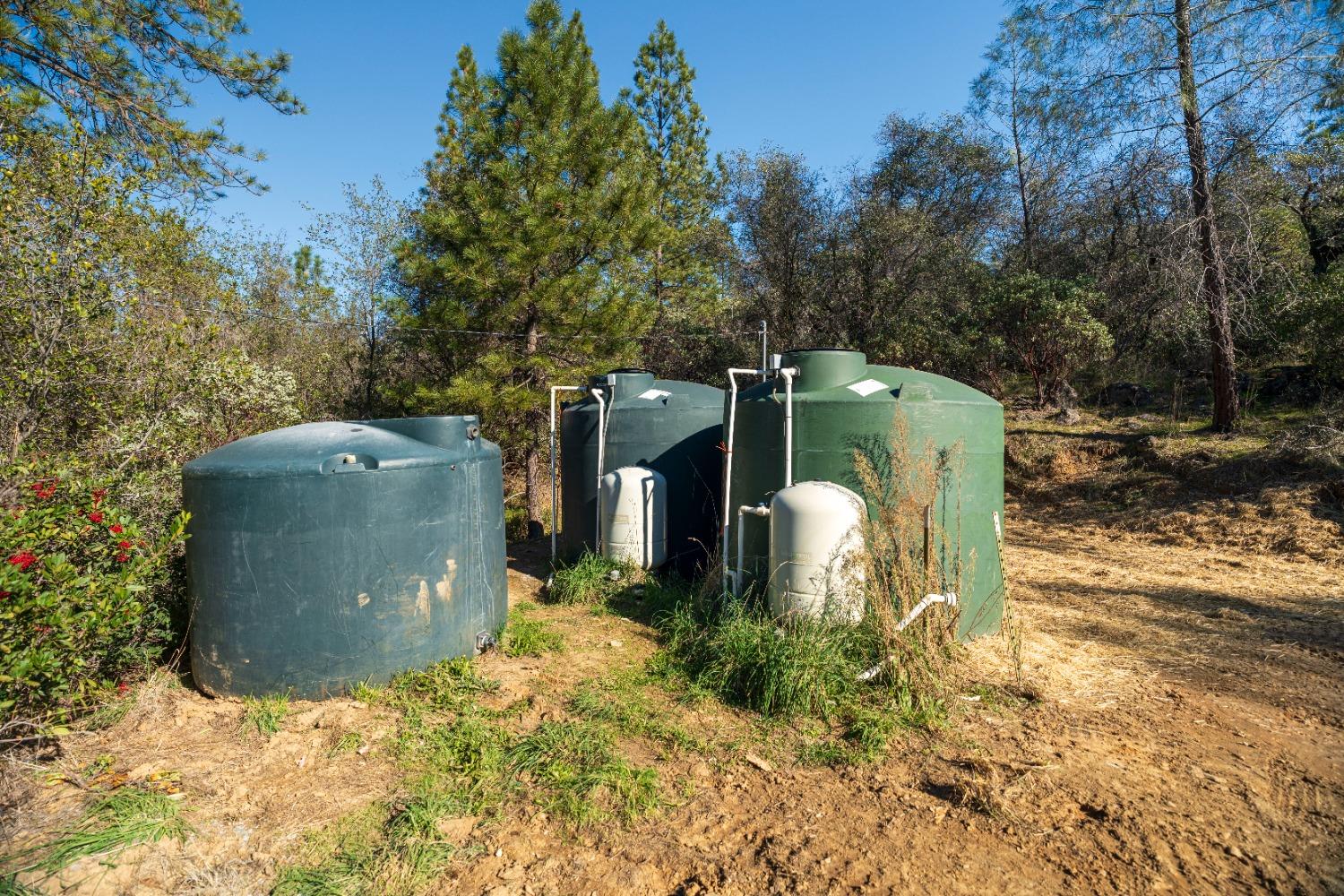 Riffle Box Court, Penn Valley, California image 9