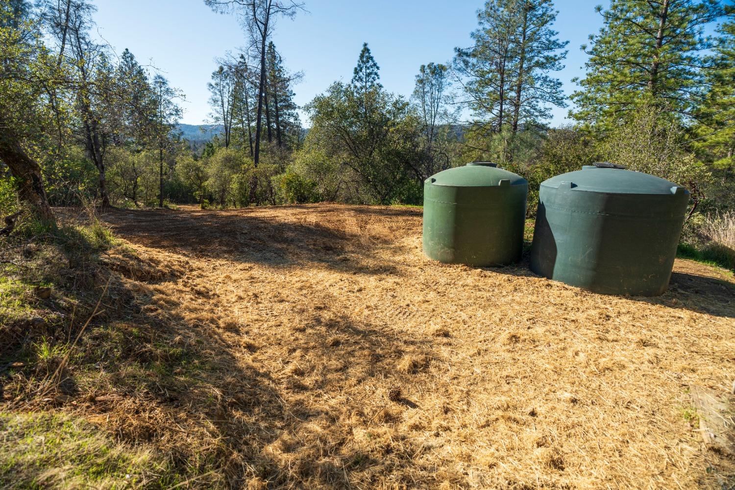 Riffle Box Court, Penn Valley, California image 8