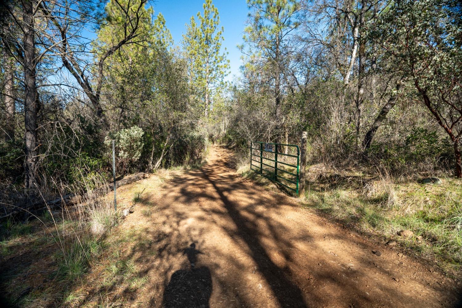 Riffle Box Court, Penn Valley, California image 18