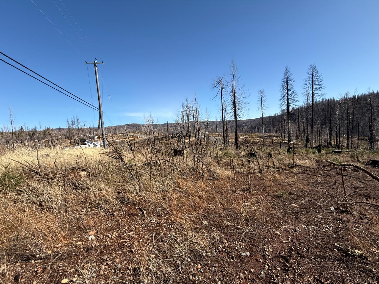 Grizzly Flat Road, Grizzly Flats, California image 8