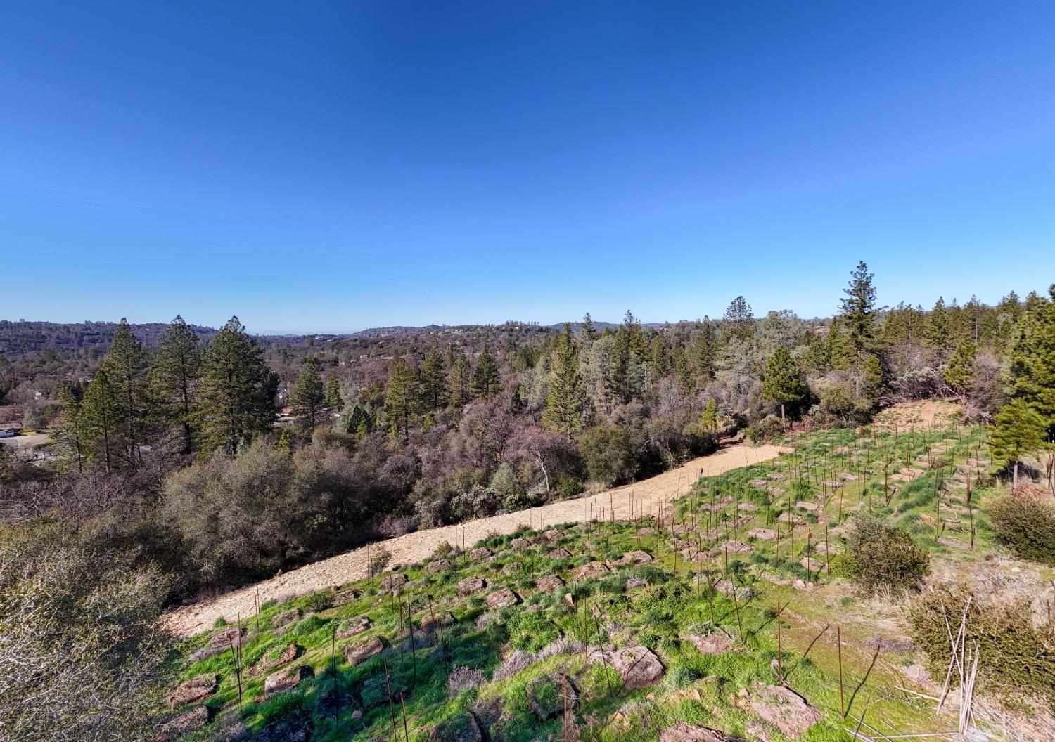 Riffle Box Court, Penn Valley, California image 6