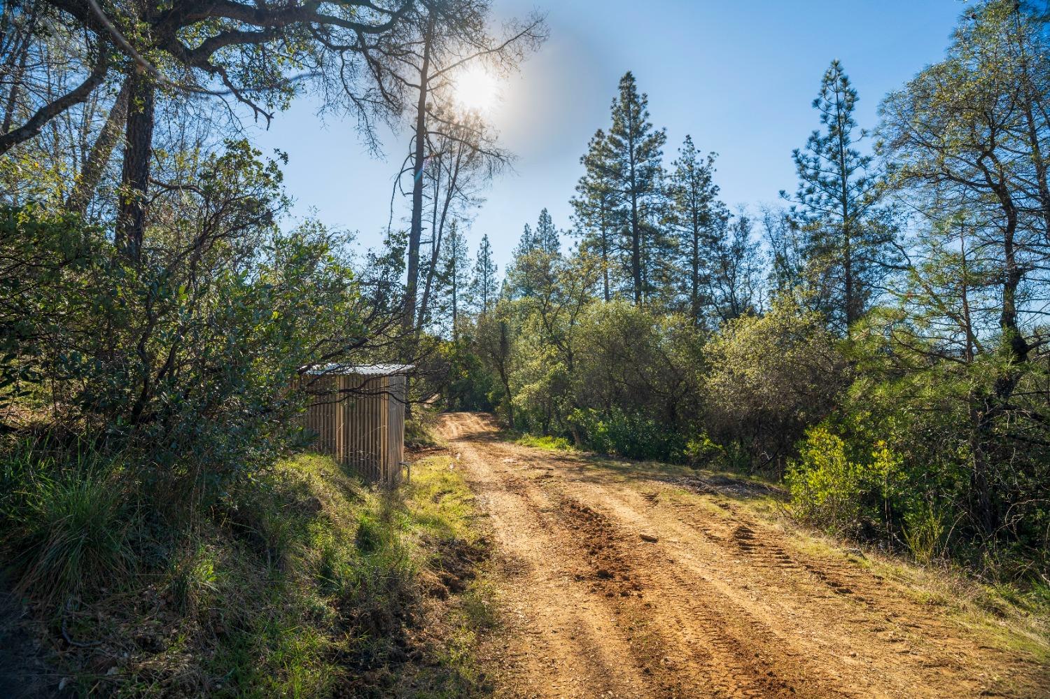 Riffle Box Court, Penn Valley, California image 23