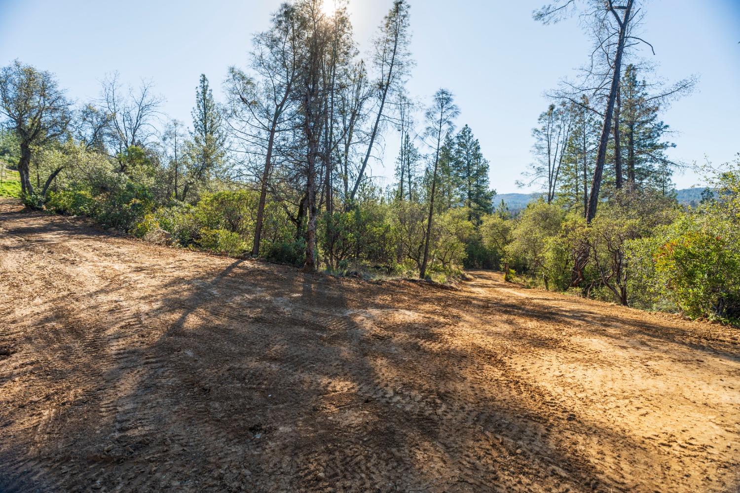 Riffle Box Court, Penn Valley, California image 10