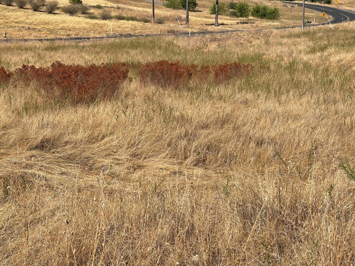 Ranchito, La Grange, California image 3