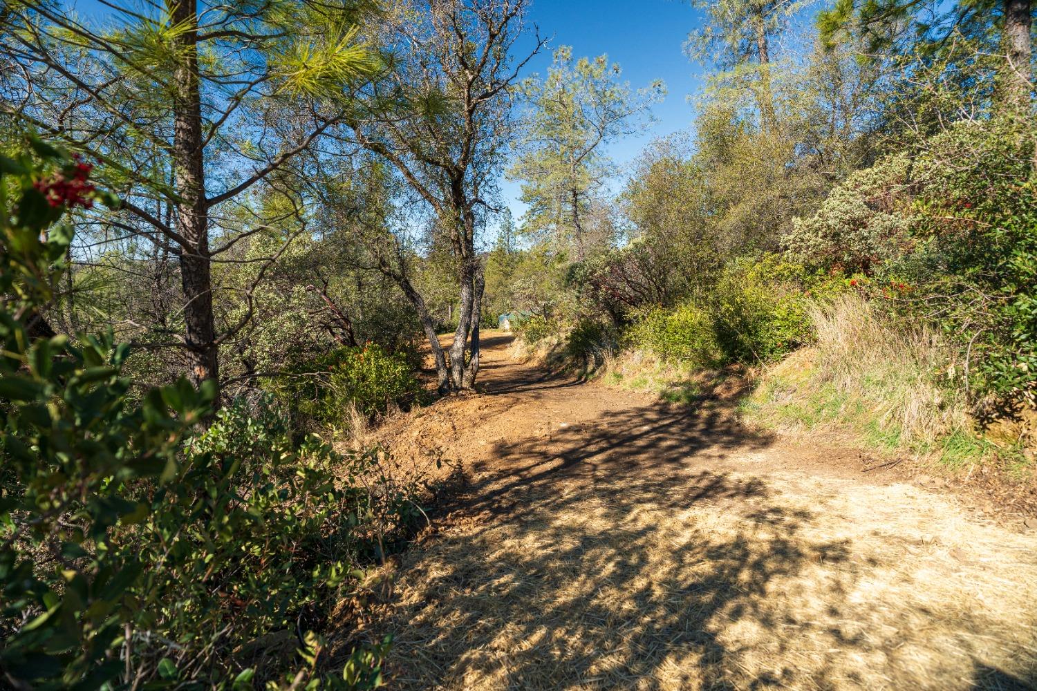 Riffle Box Court, Penn Valley, California image 14