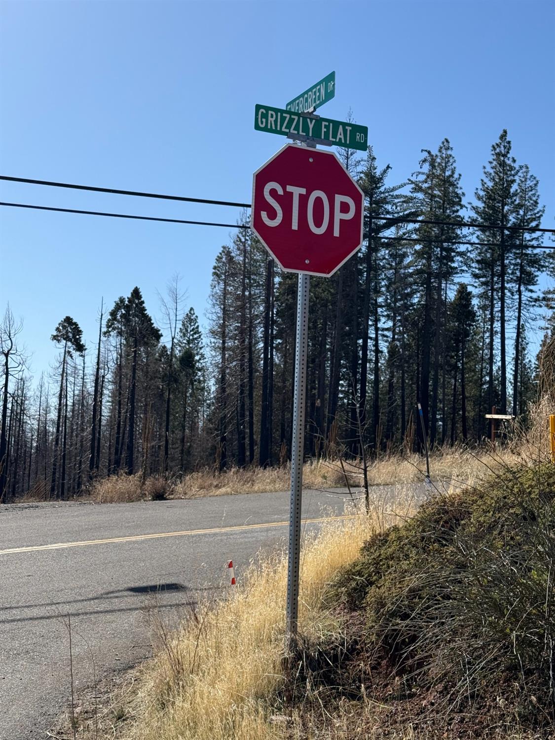 Grizzly Flat Road, Grizzly Flats, California image 14