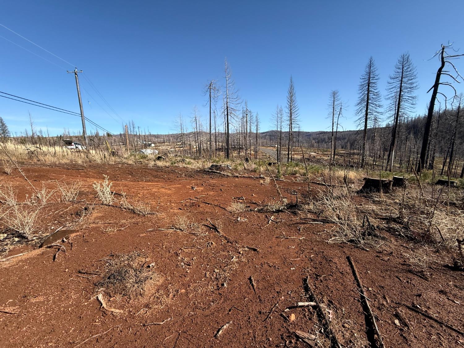 Grizzly Flat Road, Grizzly Flats, California image 5