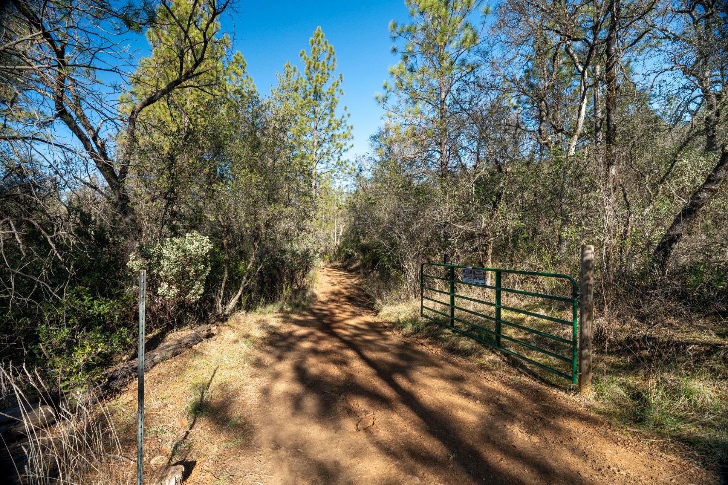 Riffle Box Court, Penn Valley, California image 19