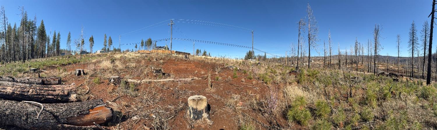 Grizzly Flat Road, Grizzly Flats, California image 3