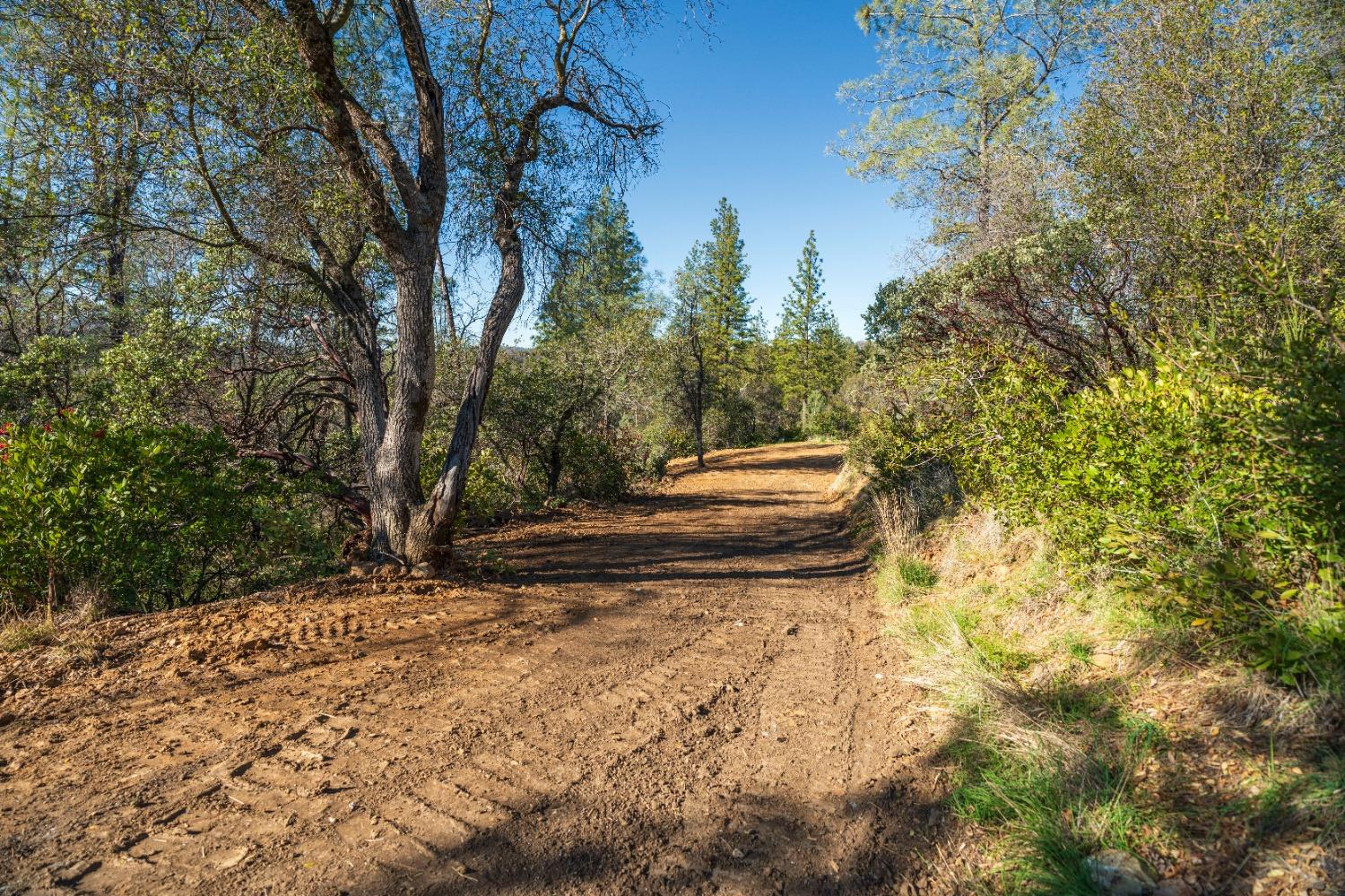 Riffle Box Court, Penn Valley, California image 15