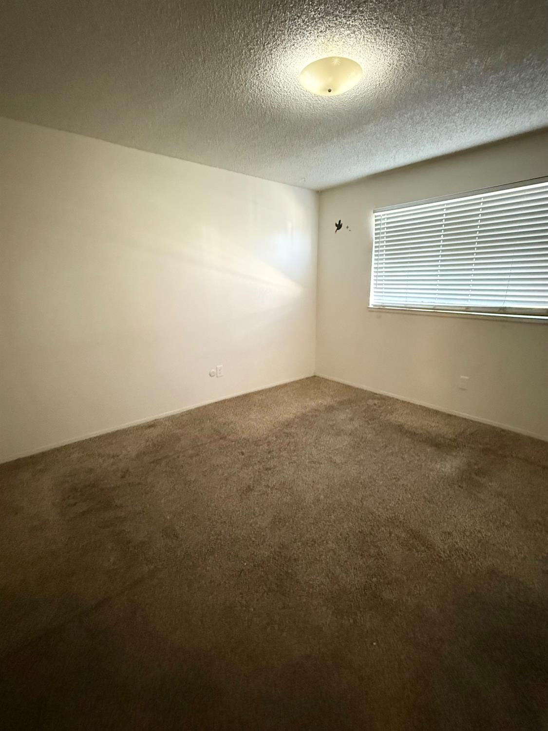 Detail Gallery Image 26 of 42 For 1651 Moffett Rd, Ceres,  CA 95307 - – Beds | – Baths