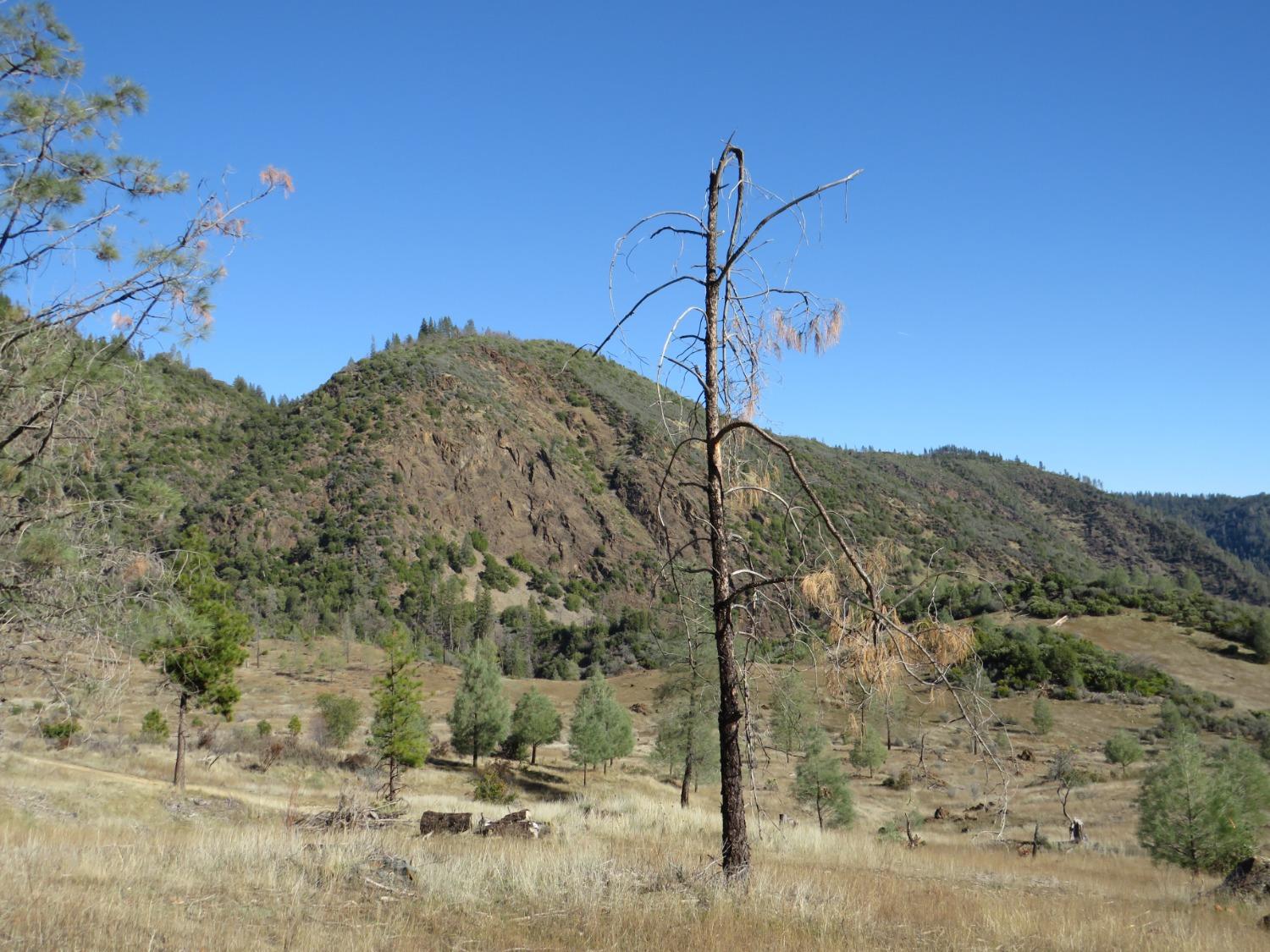 N. Canyon Way / Iowa Hill Rd, Colfax, California image 34