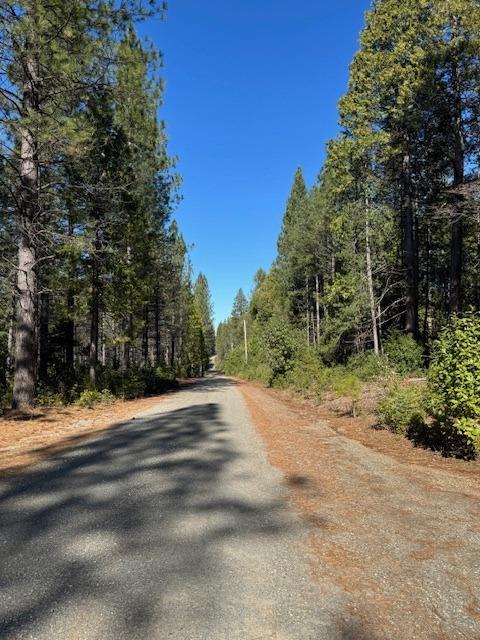 Indiana Ranch Road, Dobbins, California image 2